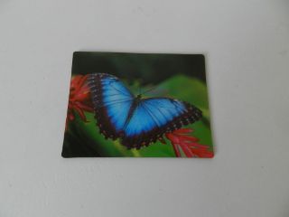 Obrázek z Magnet 3D 7x9cm - motýl (12) 